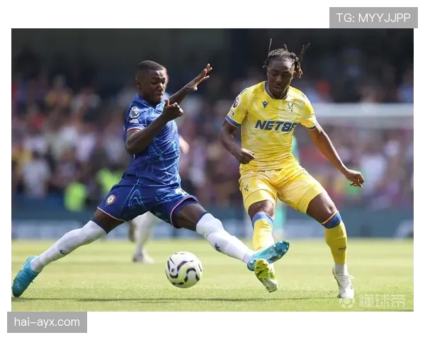 凯塞多防守区域分析