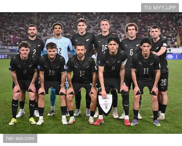 捷克冲击2026世界杯：预选赛前景与阵容分析