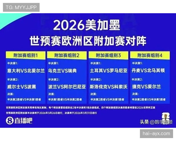波黑2026世界杯晋级之路分析 阵容短板与突围关键